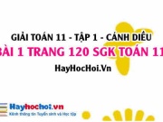 Giải bài 1 trang 120 Toán 11 tập 1 SGK Cánh Diều